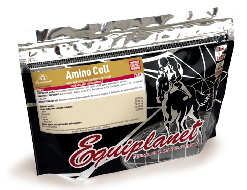 Amino Coll - Powdered product for muscle development