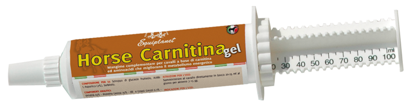 Carnitina Gel - booster με βάση την καρνιτίνη και τα αμινοξέα