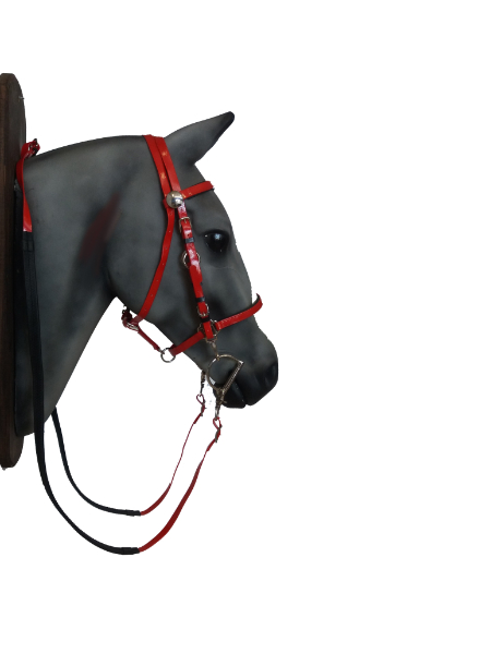 Endurance biothane bridle with rubber reins